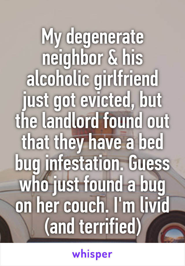 My degenerate neighbor & his alcoholic girlfriend just got evicted, but the landlord found out that they have a bed bug infestation. Guess who just found a bug on her couch. I'm livid (and terrified)
