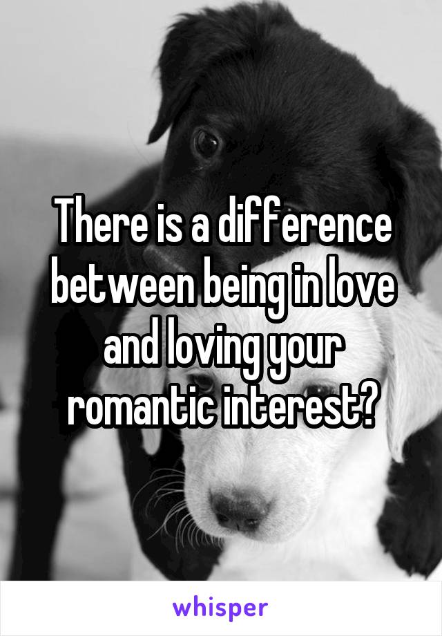 There is a difference between being in love and loving your romantic interest?