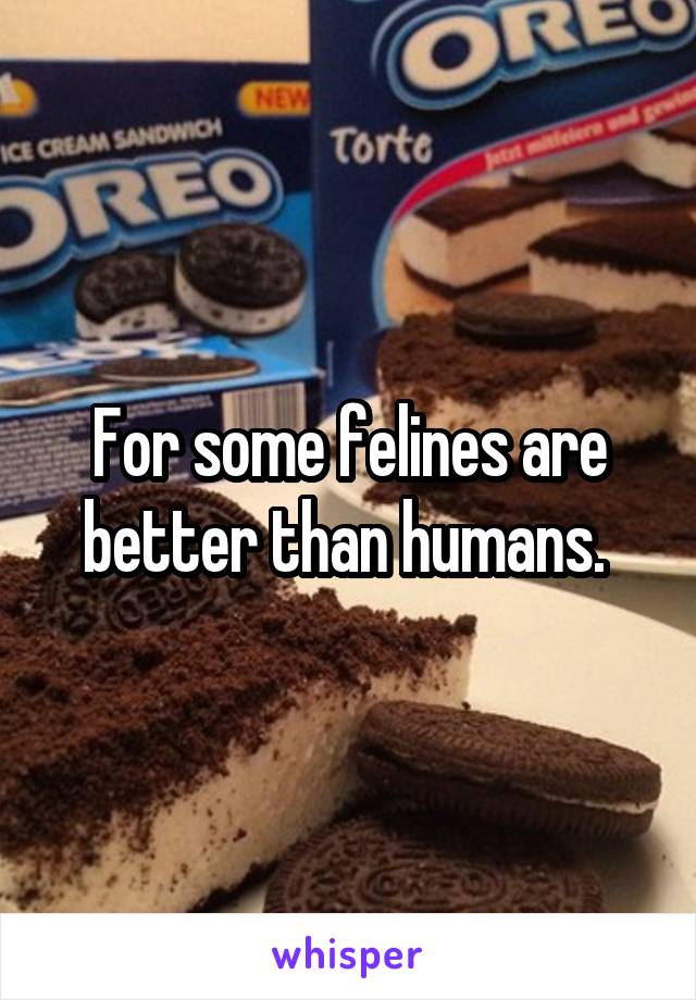 For some felines are better than humans. 