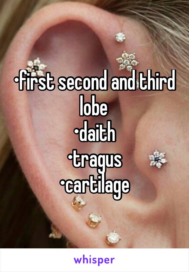 •first second and third lobe
•daith
•tragus
•cartilage 