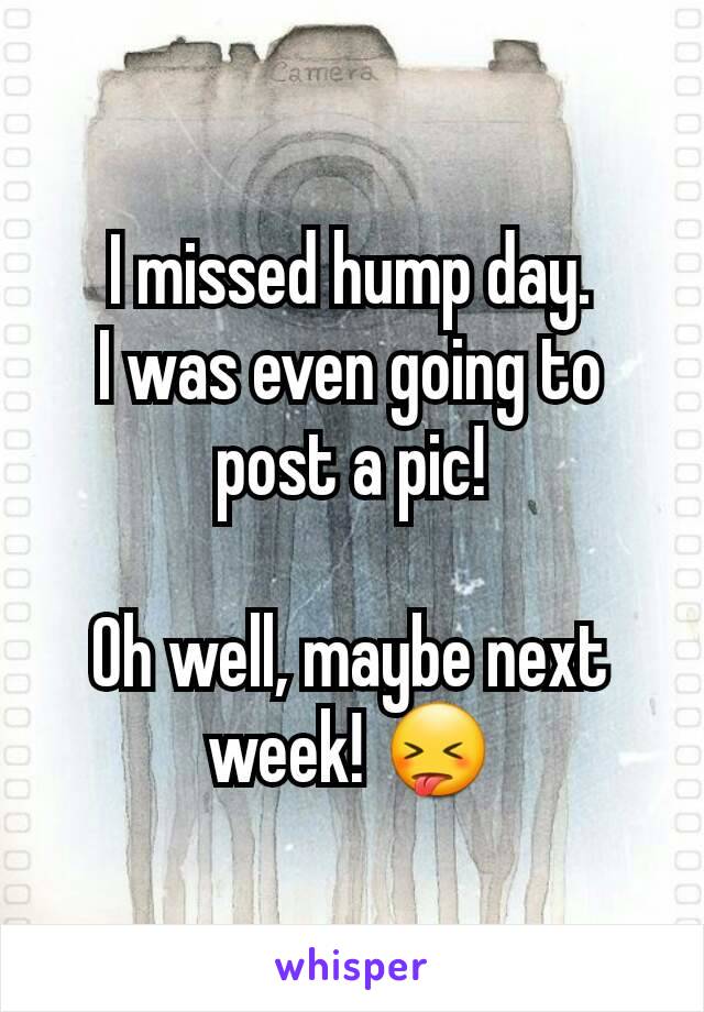 I missed hump day.
I was even going to post a pic!

Oh well, maybe next week! 😝