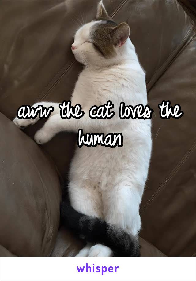 aww the cat loves the human

