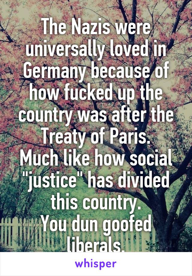 The Nazis were universally loved in Germany because of how fucked up the country was after the Treaty of Paris.
Much like how social "justice" has divided this country.
You dun goofed liberals.