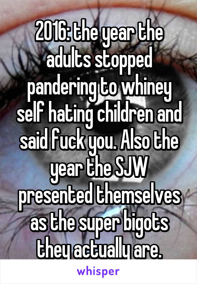 2016: the year the adults stopped pandering to whiney self hating children and said fuck you. Also the year the SJW presented themselves as the super bigots they actually are.