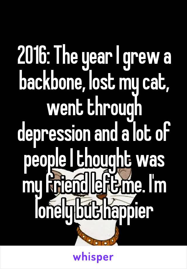 2016: The year I grew a backbone, lost my cat, went through depression and a lot of people I thought was my friend left me. I'm lonely but happier