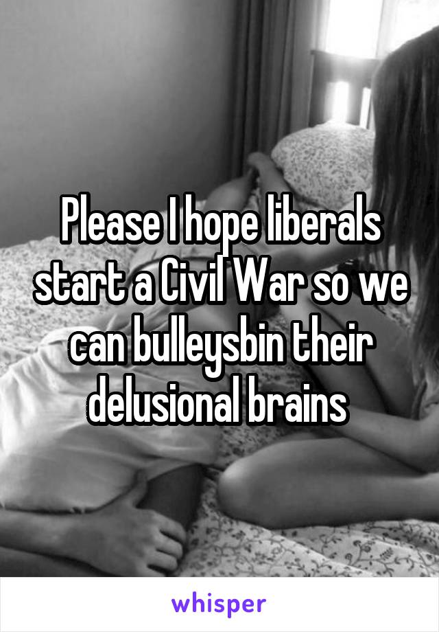 Please I hope liberals start a Civil War so we can bulleysbin their delusional brains 