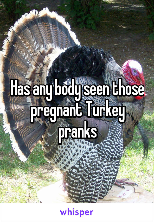 has-any-body-seen-those-pregnant-turkey-pranks