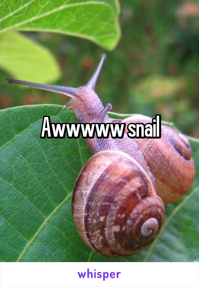Awwwww snail
