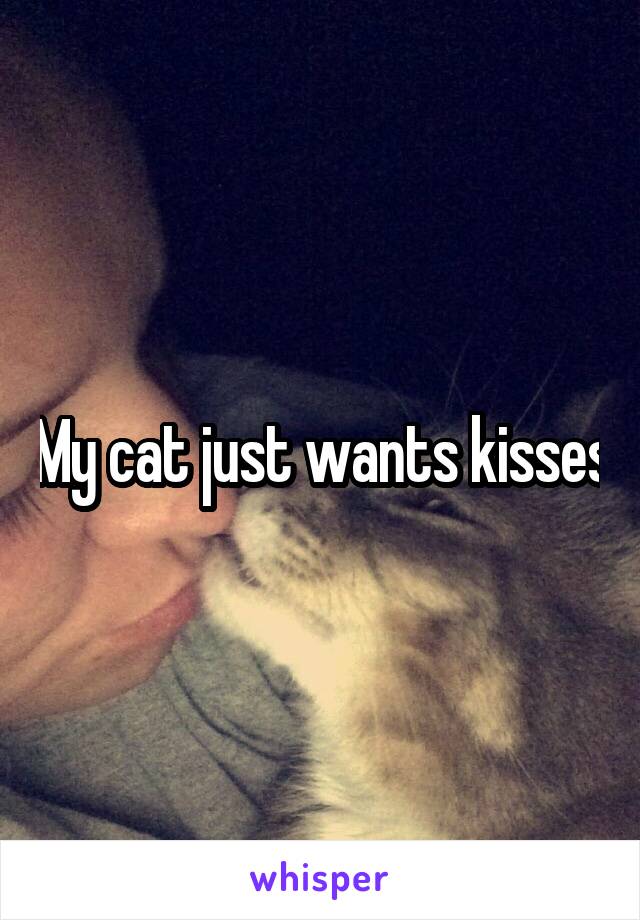 My cat just wants kisses