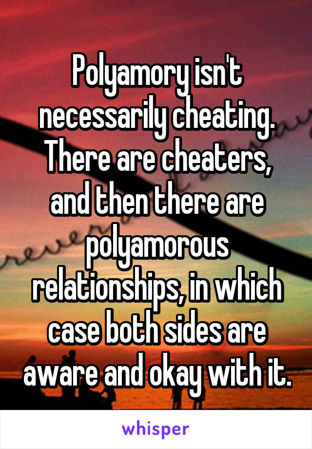 Polyamory isn't necessarily cheating. There are cheaters, and then there are polyamorous relationships, in which case both sides are aware and okay with it.