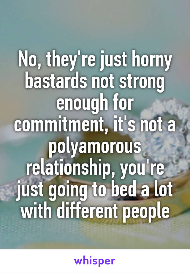 No, they're just horny bastards not strong enough for commitment, it's not a polyamorous relationship, you're just going to bed a lot with different people