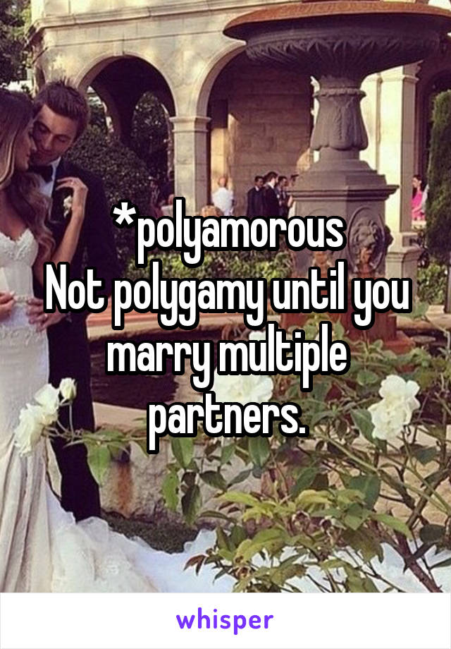 *polyamorous
Not polygamy until you marry multiple partners.