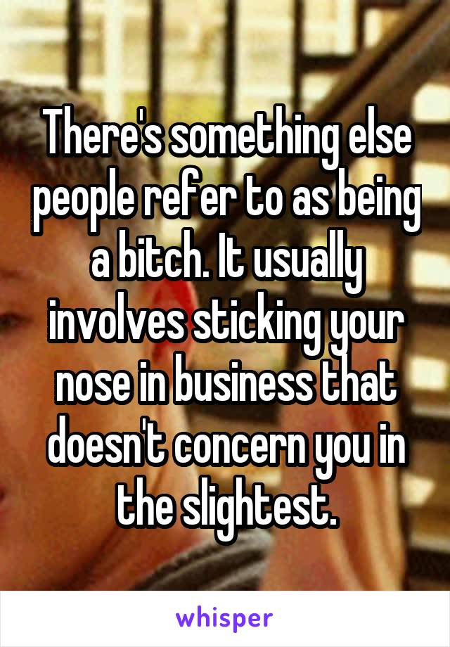 There's something else people refer to as being a bitch. It usually involves sticking your nose in business that doesn't concern you in the slightest.