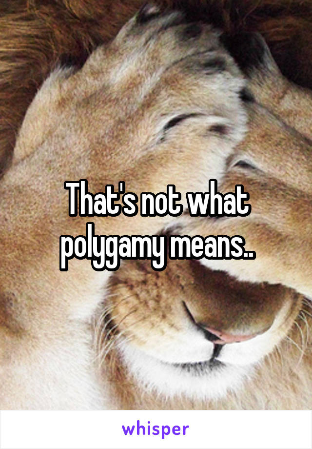 That's not what polygamy means..