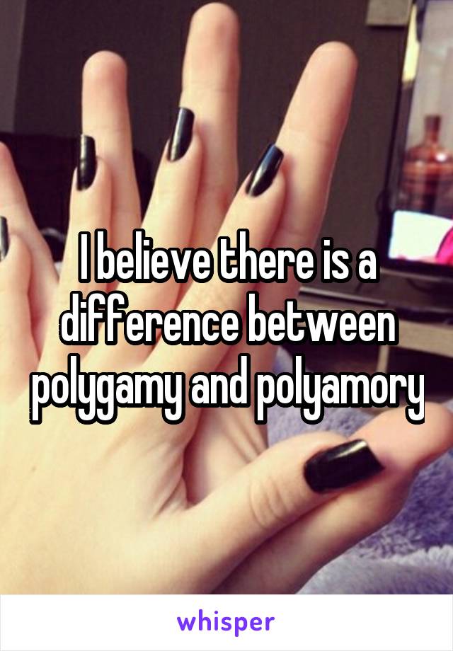 I believe there is a difference between polygamy and polyamory