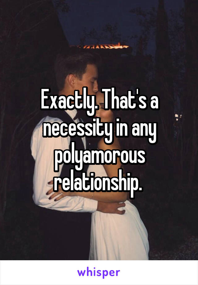 Exactly. That's a necessity in any polyamorous relationship. 