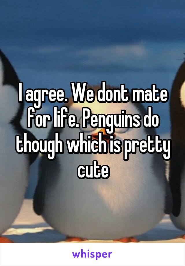 I agree. We dont mate for life. Penguins do though which is pretty cute