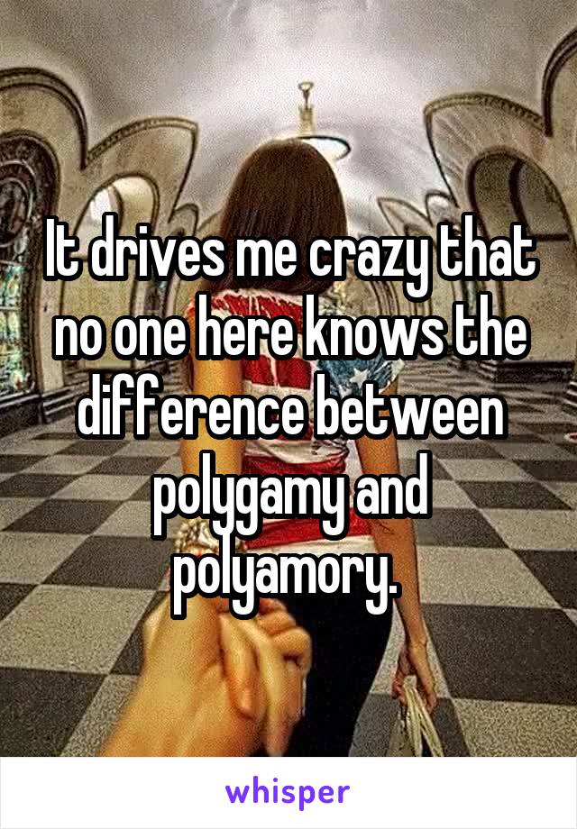 It drives me crazy that no one here knows the difference between polygamy and polyamory. 