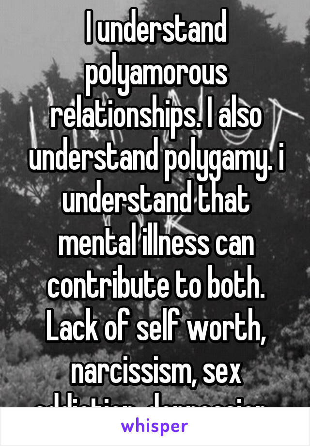 I understand polyamorous relationships. I also understand polygamy. i understand that mental illness can contribute to both. Lack of self worth, narcissism, sex addiction, depression. 