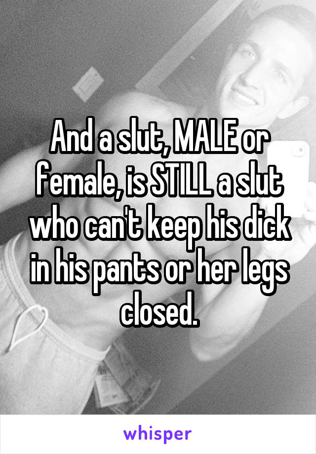 And a slut, MALE or female, is STILL a slut who can't keep his dick in his pants or her legs closed.