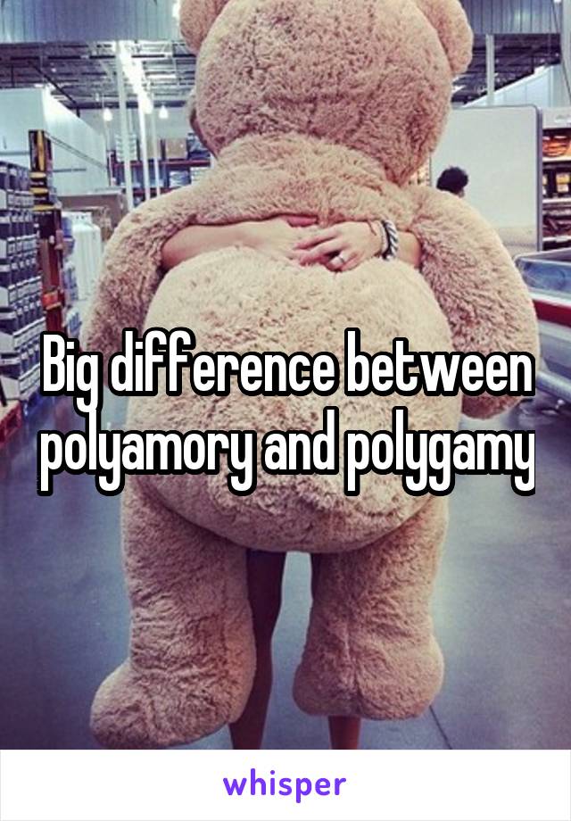 Big difference between polyamory and polygamy