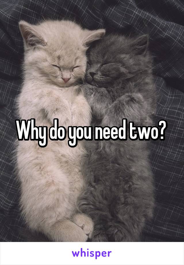 Why do you need two? 