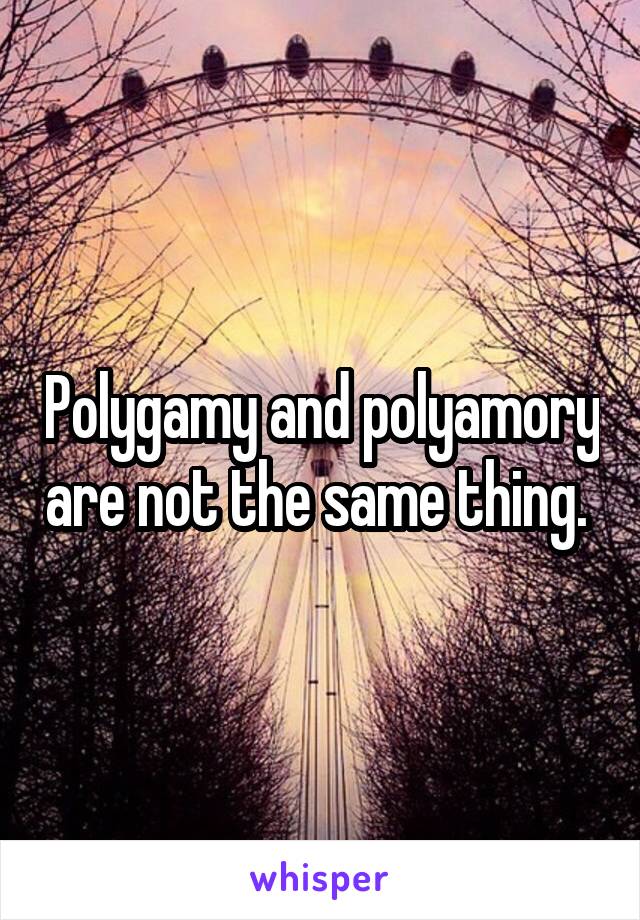 Polygamy and polyamory are not the same thing. 