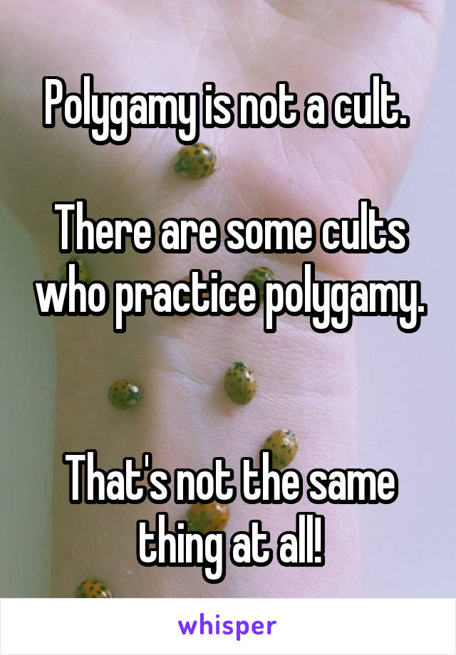 Polygamy is not a cult. 

There are some cults who practice polygamy. 

That's not the same thing at all!