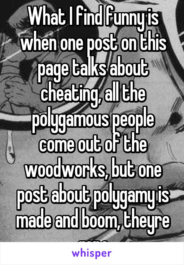 What I find funny is when one post on this page talks about cheating, all the polygamous people come out of the woodworks, but one post about polygamy is made and boom, theyre gone