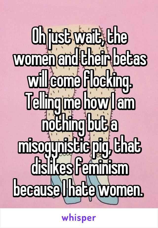 Oh just wait, the women and their betas will come flocking. Telling me how I am nothing but a misogynistic pig, that dislikes feminism because I hate women. 