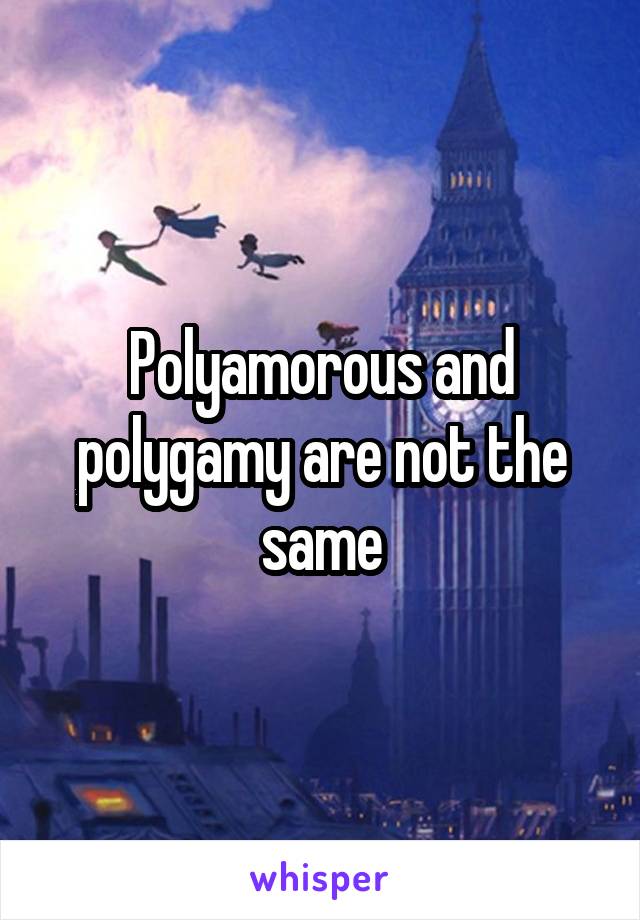 Polyamorous and polygamy are not the same