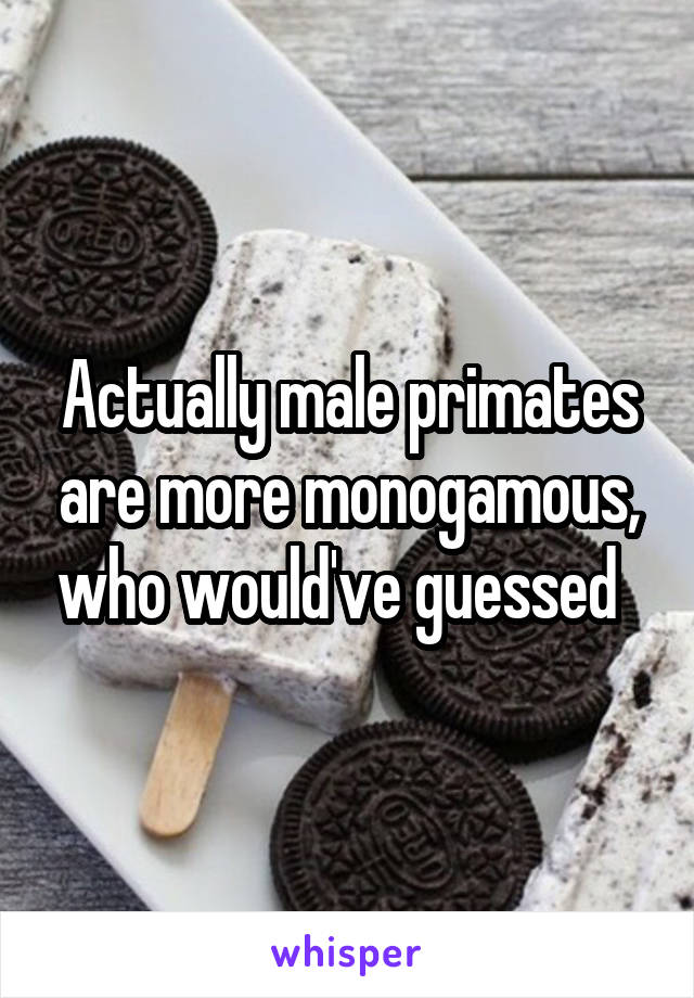 Actually male primates are more monogamous, who would've guessed  
