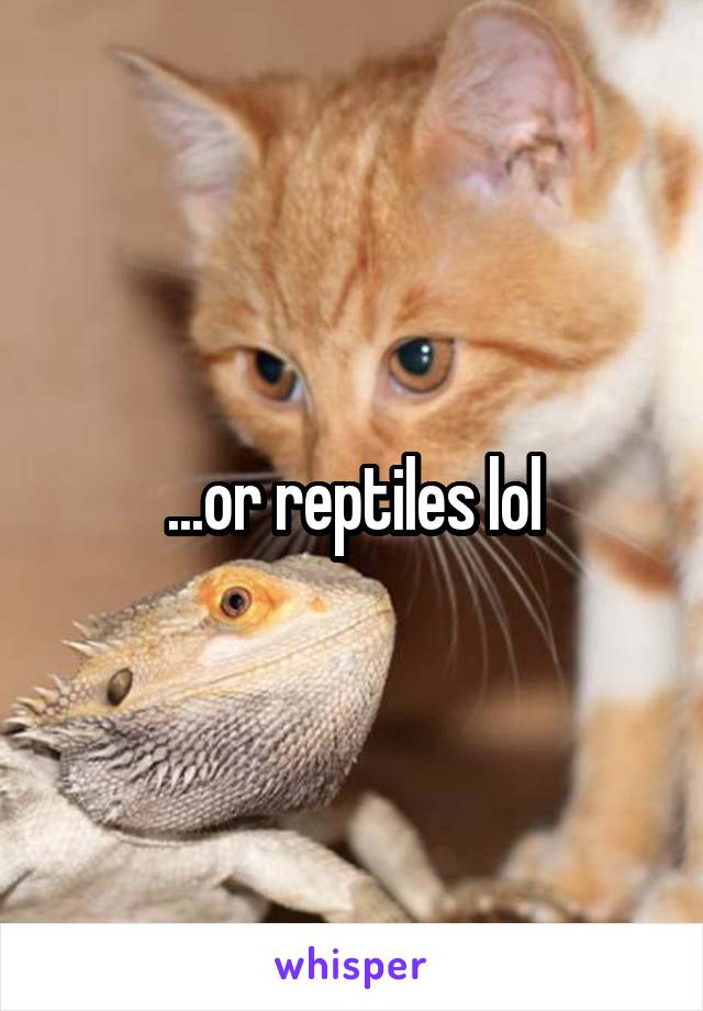 ...or reptiles lol