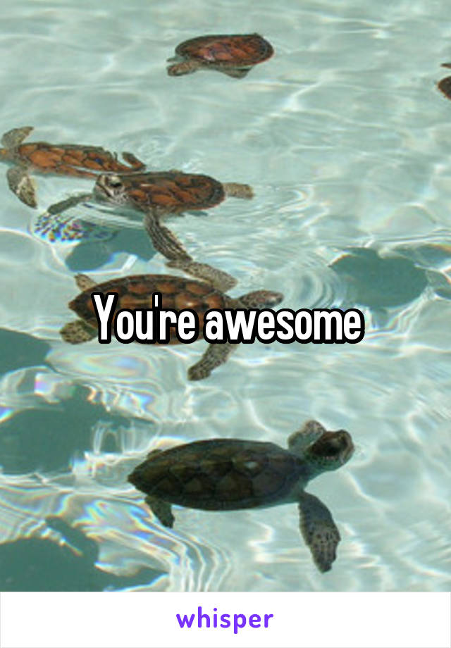 You're awesome