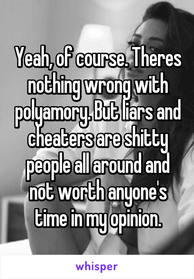 Yeah, of course. Theres nothing wrong with polyamory. But liars and cheaters are shitty people all around and not worth anyone's time in my opinion.