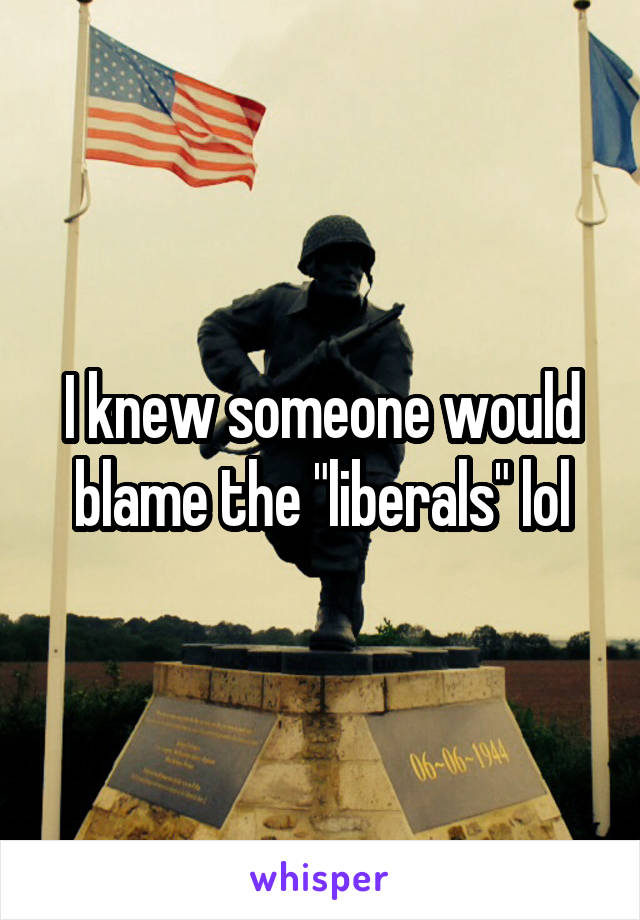 I knew someone would blame the "liberals" lol