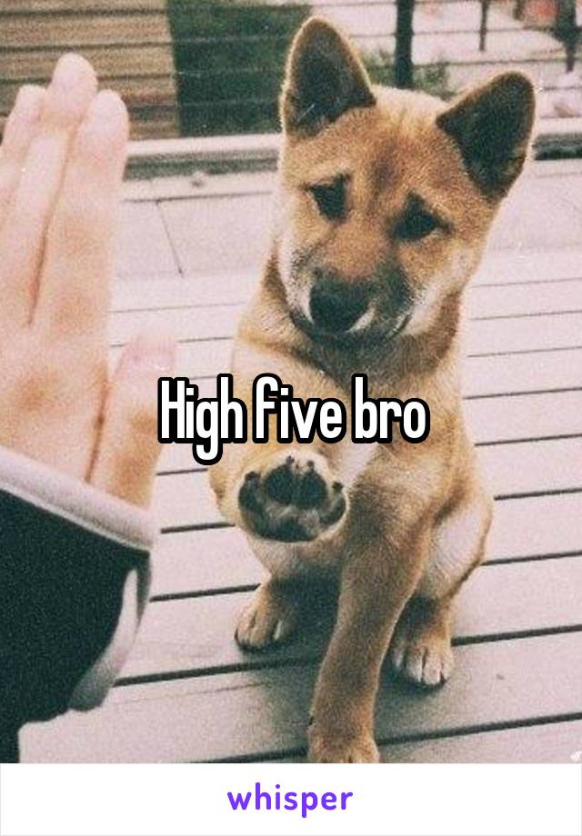 High five bro