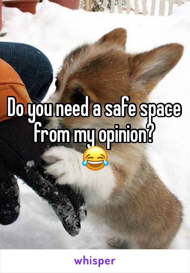 Do you need a safe space from my opinion?
😂