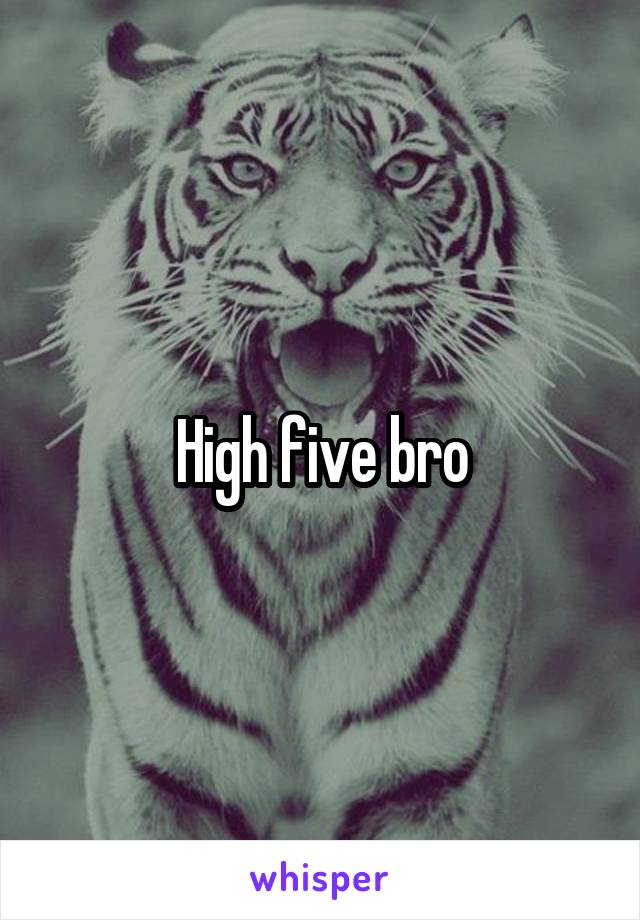 High five bro