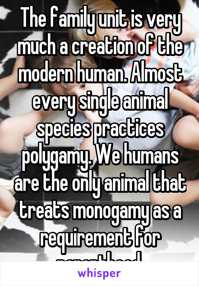 The family unit is very much a creation of the modern human. Almost every single animal species practices polygamy. We humans are the only animal that treats monogamy as a requirement for parenthood.