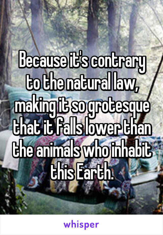 Because it's contrary to the natural law, making it so grotesque that it falls lower than the animals who inhabit this Earth.