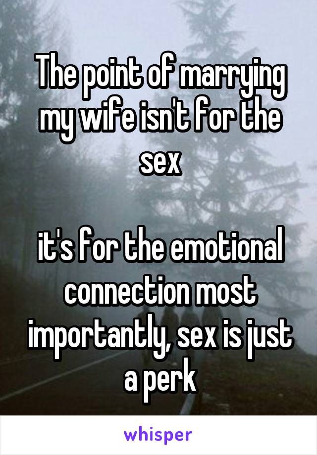 The point of marrying my wife isn't for the sex

it's for the emotional connection most importantly, sex is just a perk