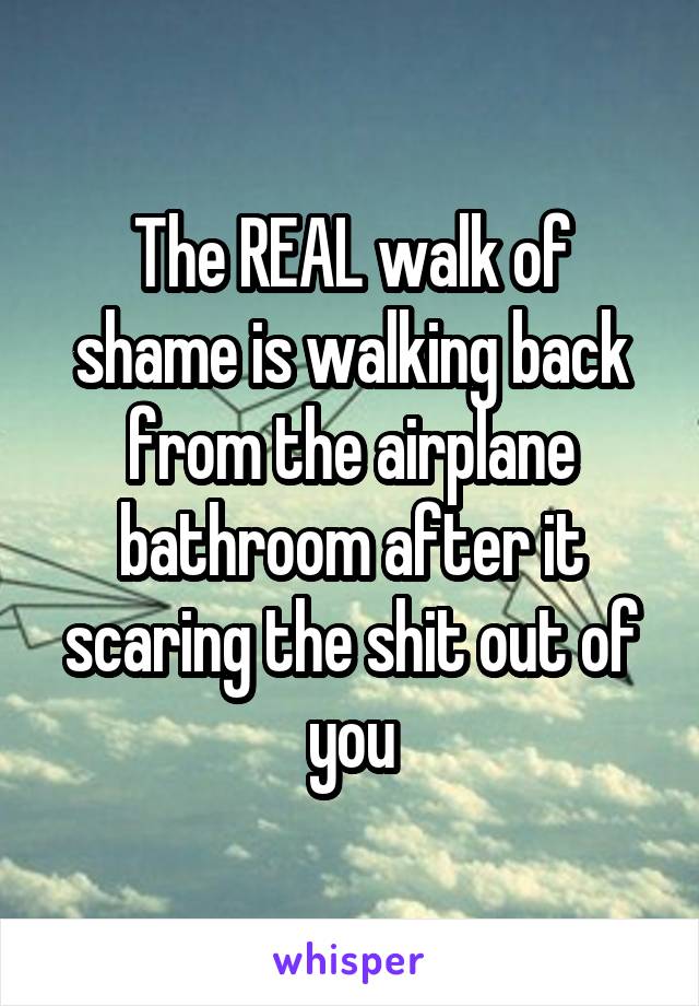 The REAL walk of shame is walking back from the airplane bathroom after it scaring the shit out of you