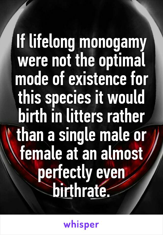 If lifelong monogamy were not the optimal mode of existence for this species it would birth in litters rather than a single male or female at an almost perfectly even birthrate.