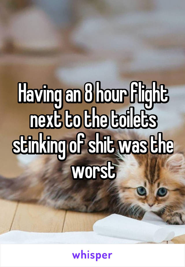 Having an 8 hour flight next to the toilets stinking of shit was the worst