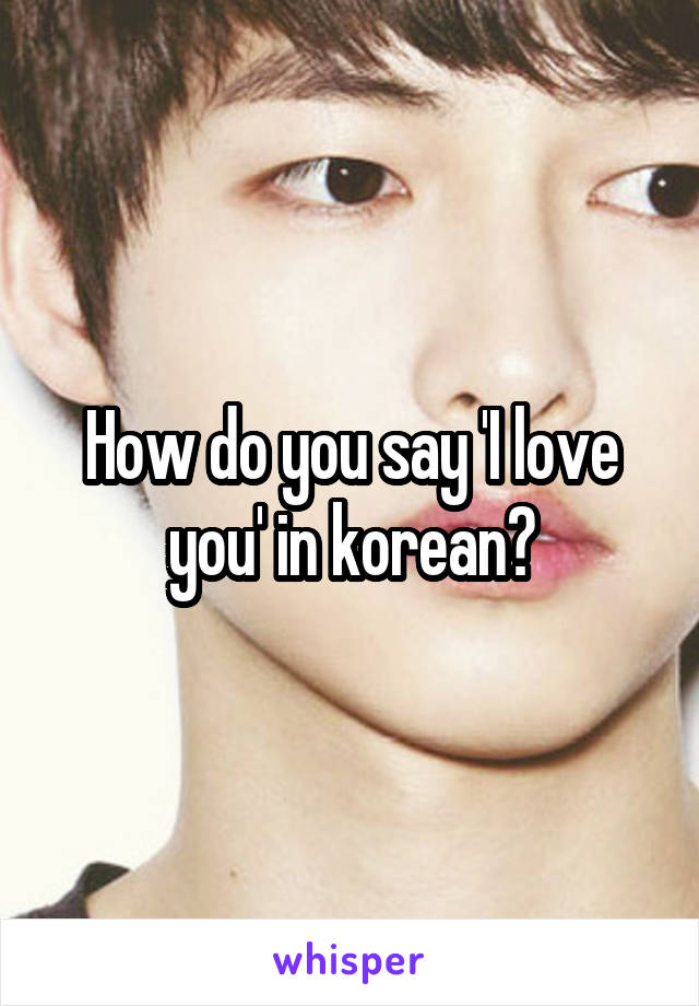 how-do-you-say-i-love-you-in-korean