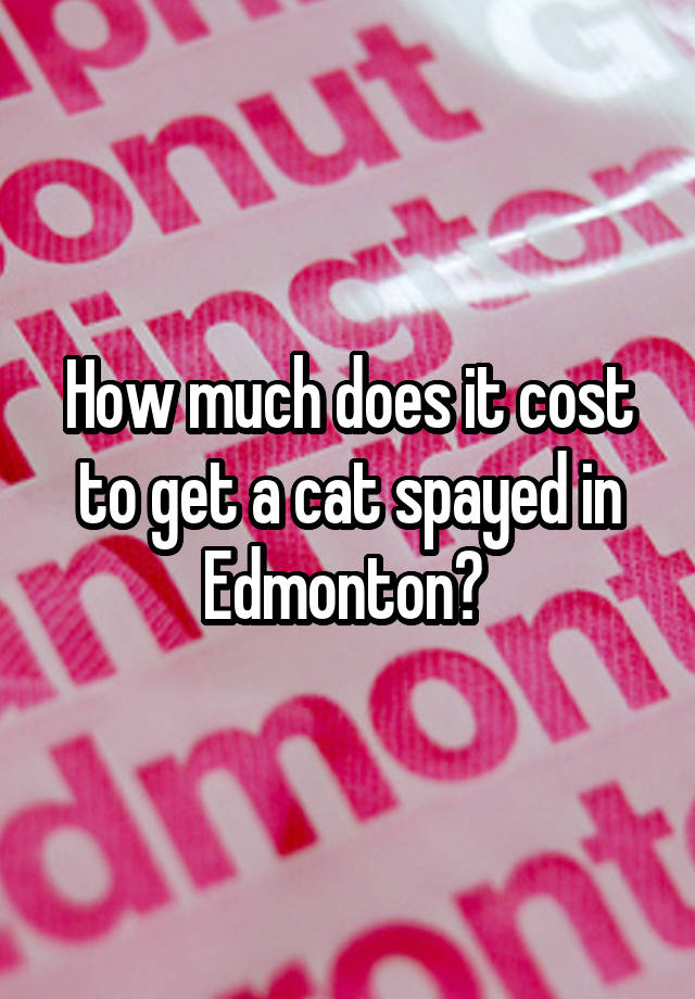 how-much-does-it-cost-to-get-a-cat-spayed-in-edmonton