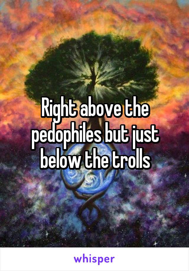 Right above the pedophiles but just below the trolls