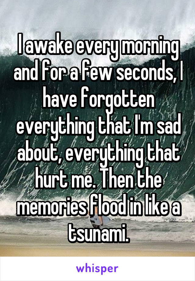 I awake every morning and for a few seconds, I have forgotten everything that I'm sad about, everything that hurt me. Then the memories flood in like a tsunami.