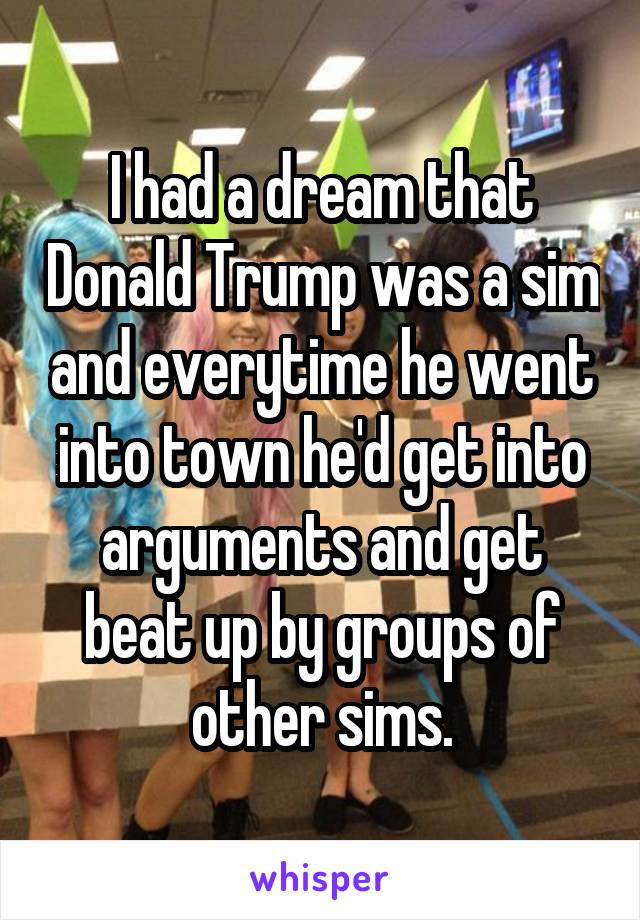 I had a dream that Donald Trump was a sim and everytime he went into town he'd get into arguments and get beat up by groups of other sims.